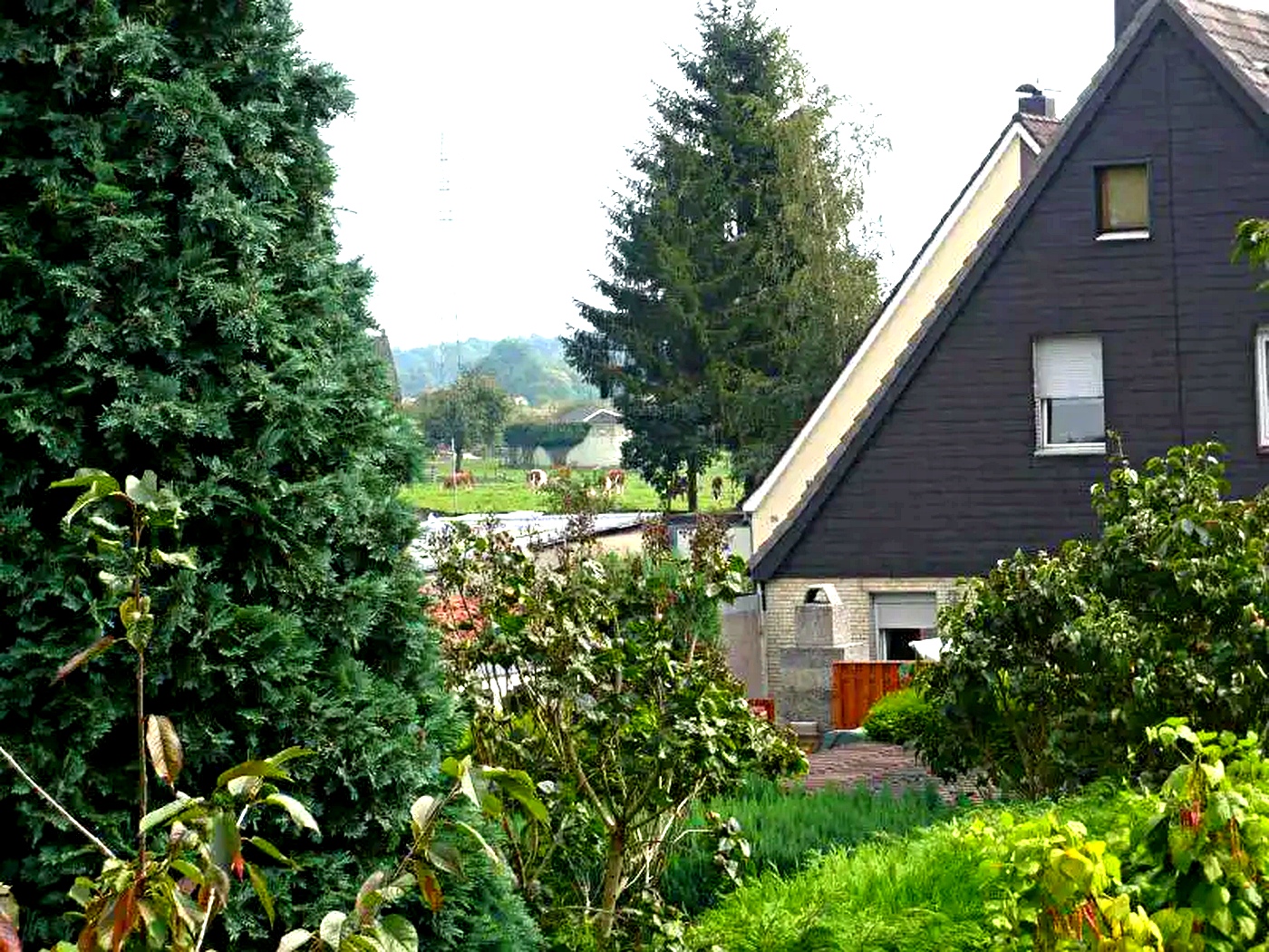 Werne_Immobilienversion_Plus_4